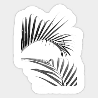 Botanical #002 - B&W Sticker